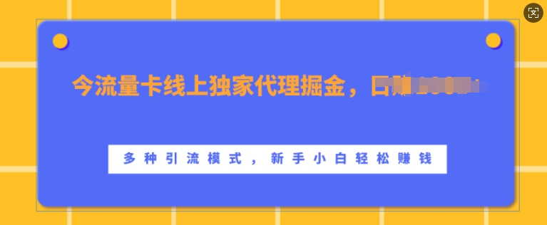 流量卡线上独家代理掘金，日入1k+ ，多种引流模式，新手小白轻松上手【揭秘】-Ai创业网