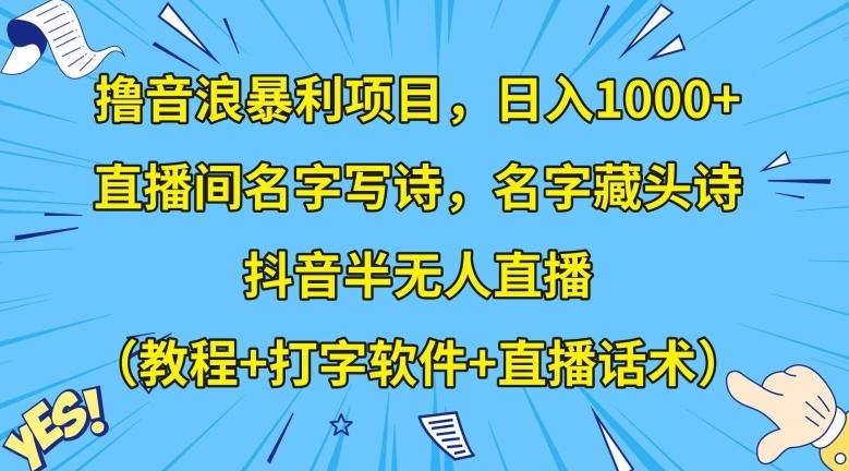 撸音浪暴利项目，日入1000+，直播间名字写诗，名字藏头诗，抖音半无人直播（教程+打字软件+直播话术）【揭秘】-Ai创业网