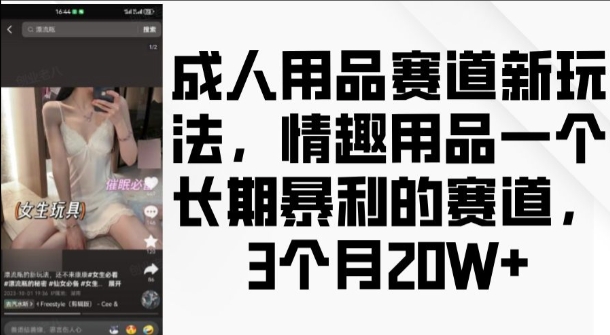 成人用品赛道新玩法，情趣用品一个长期暴利的赛道，3个月收益20个【揭秘】-Ai创业网