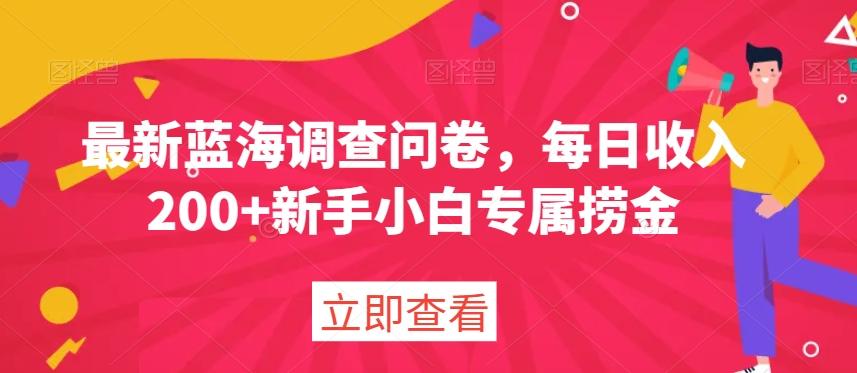 最新蓝海调查问卷，每日收入200+新手小白专属捞金-Ai创业网