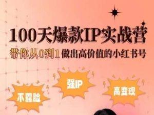 小红书100天爆款IP实战营，带你从0到1做出高价值的小红书号-Ai创业网