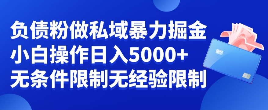 负债粉私域暴力掘金，小白操作入5000，无经验限制，无条件限制【揭秘】-Ai创业网