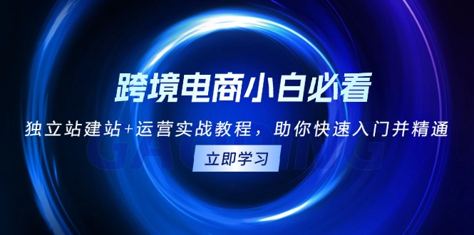 跨境电商小白必看！独立站建站+运营实战教程，助你快速入门并精通-Ai创业网