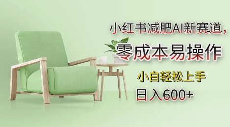 小红书减肥AI新赛道，零成本易操作，日入多张，小白轻松上手【揭秘】-Ai创业网