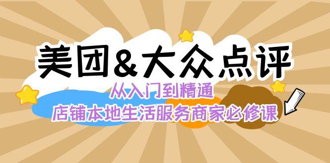 美团+大众点评 从入门到精通：店铺本地生活 流量提升 店铺运营 推广秘术 评价管理-Ai创业网