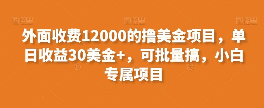外面收费12000的撸美金项目，单日收益30美金+，可批量搞，小白专属项目-Ai创业网