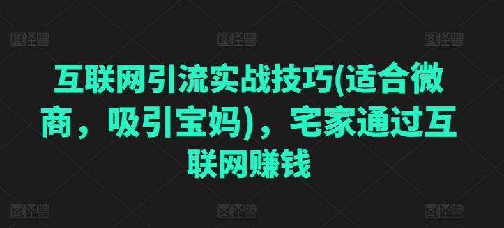 互联网引流实战技巧(适合微商，吸引宝妈)，宅家通过互联网赚钱-Ai创业网