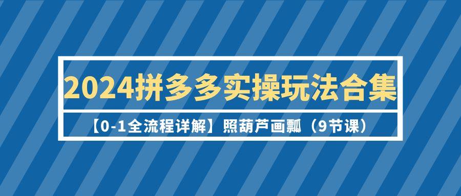 (9559期)2024拼多多实操玩法合集【0-1全流程详解】照葫芦画瓢(9节课)-Ai创业网