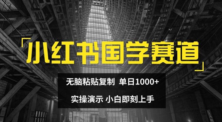 小红书国学赛道，无脑粘贴复制，单日1K，实操演示，小白即刻上手【揭秘】-Ai创业网