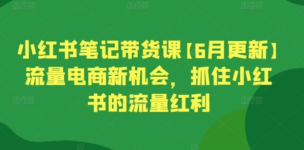 小红书笔记带货课【6月更新】流量电商新机会，抓住小红书的流量红利-Ai创业网