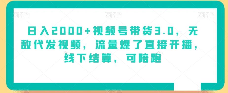 日入2000+视频号带货3.0，无敌代发视频，流量爆了直接开播，线下结算，可陪跑-Ai创业网