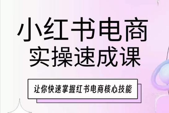小红书电商实操速成课，让你快速掌握红书电商核心技能-Ai创业网