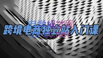 团长·跨境电商独立站入门课(2小时精华)-Ai创业网