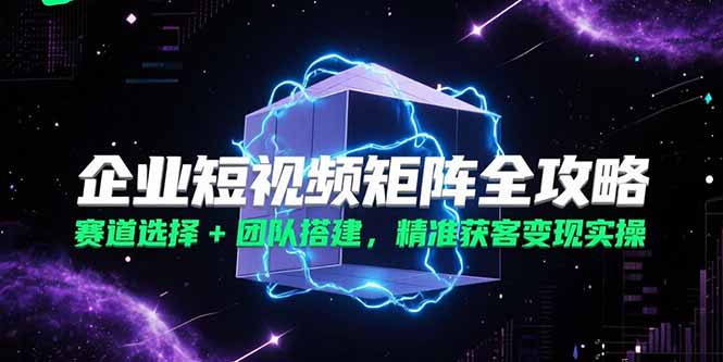 企业短视频矩阵全攻略，赛道选择+团队搭建，精准获客变现实操-Ai创业网