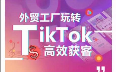外贸工厂玩转TikTok高效获客，多种引流方式与账号定位技巧，拆解爆款短视频打造成功案例-Ai创业网