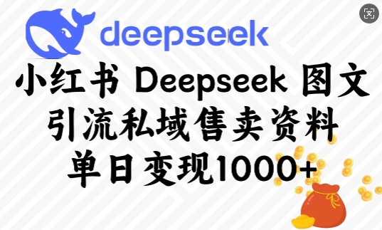 小红书Deepseek图文引流私域售卖资料，单日变现多张-Ai创业网