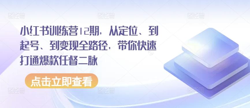小红书训练营12期，从定位、到起号、到变现全路径，带你快速打通爆款任督二脉-Ai创业网