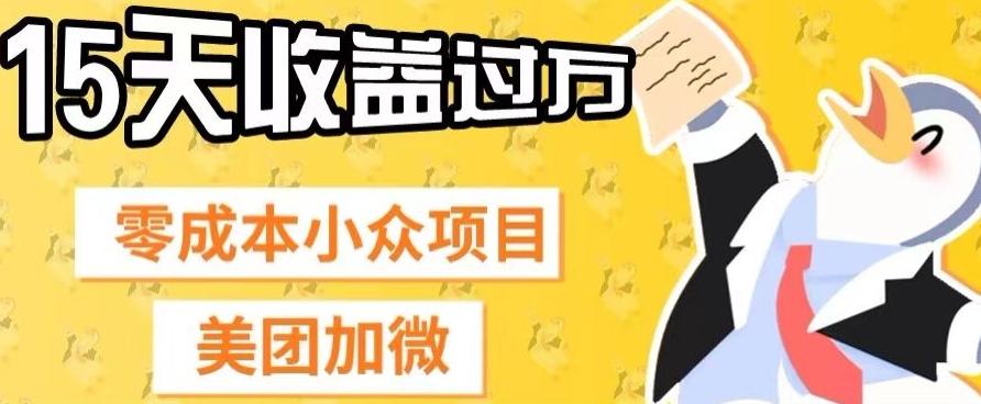 零成本小众项目，美团加微，一单4.5+，15天已经有人赚上万收益-Ai创业网
