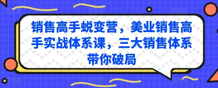销售高手蜕变营，美业销售高手实战体系课，三大销售体系带你破局-Ai创业网