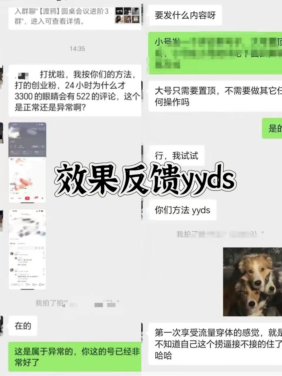 图片[3]-抖音小红书视频号全平台引流打法，全自动引流日引2000+精准客户-Ai创业网