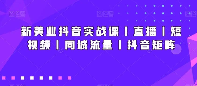 新美业抖音实战课丨直播丨短视频丨同城流量丨抖音矩阵-Ai创业网
