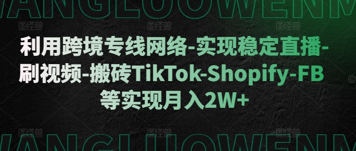 利用跨境专线网络-实现稳定直播-刷视频-搬砖TikTok-Shopify-FB等实现月入2W+【揭秘】-Ai创业网
