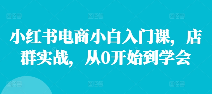 小红书电商小白入门课，店群实战，从0开始到学会-Ai创业网