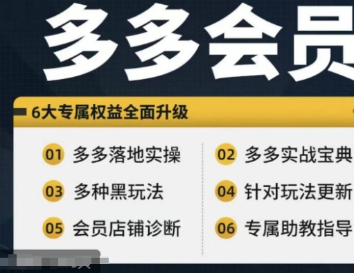 拼多多会员，拼多多实战宝典+实战落地实操，从新手到高阶内容全面覆盖-Ai创业网