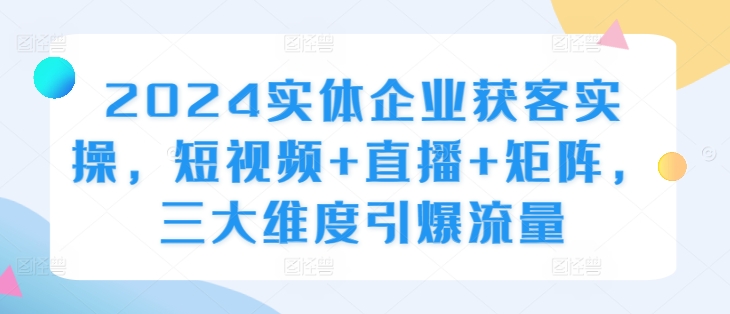 2024实体企业获客实操，短视频+直播+矩阵，三大维度引爆流量-Ai创业网