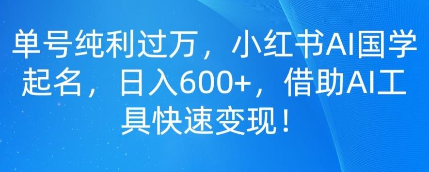 单号纯利过万，小红书AI国学起名，日入600+，借助AI工具快速变现-Ai创业网