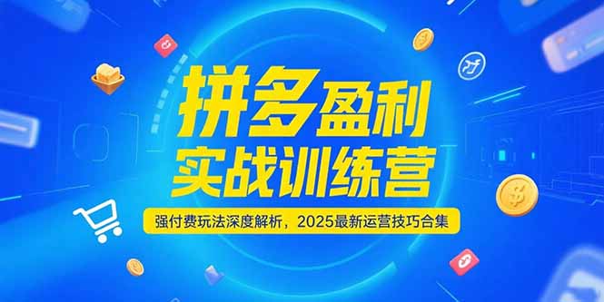 拼多多盈利实战训练营，强付费玩法深度解析，2025运营技巧合集-更新6月-Ai创业网