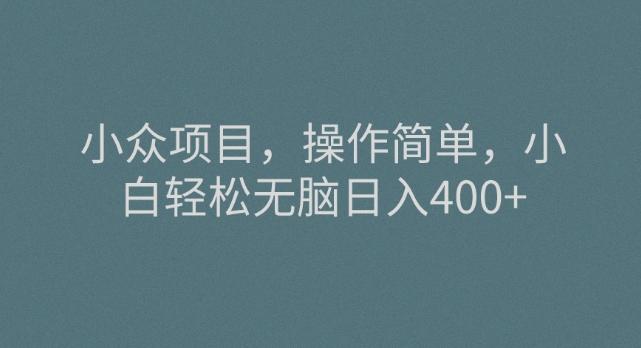 小众项目，操作简单，小白轻松无脑日入400+-Ai创业网