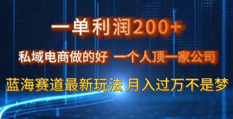 一单利润200私域电商做的好，一个人顶一家公司蓝海赛道最新玩法【揭秘】-Ai创业网