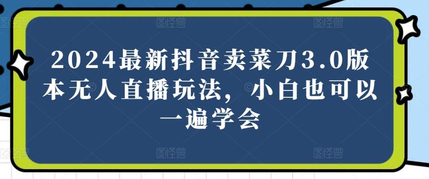 2024最新抖音卖菜刀3.0版本无人直播玩法，小白也可以一遍学会【揭秘】-Ai创业网