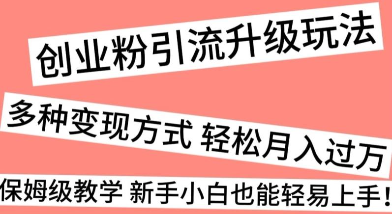 创业粉引流升级玩法，多种变现方式轻松月入过万，保姆级教学新手小白也能轻易上手！-Ai创业网