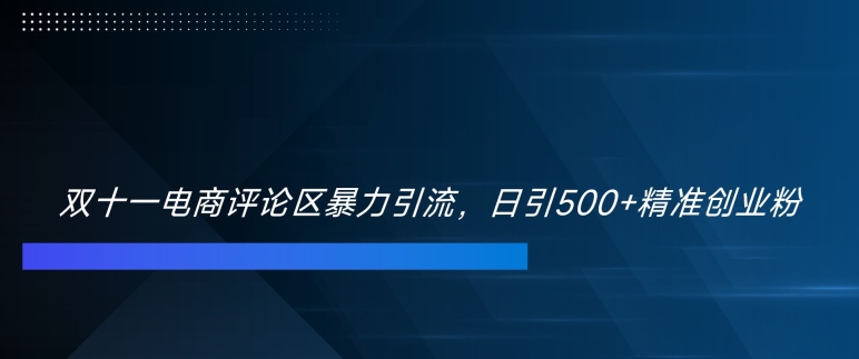 双十一电商评论区暴力引流，日引500+精准创业粉【揭秘】-Ai创业网