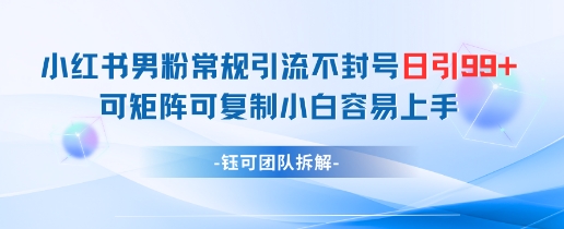 小红书男粉常规引流不封号日引99+变现简单 可矩阵可复制小白容易上手-Ai创业网