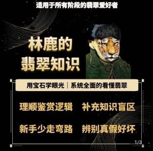 林鹿的翡翠知识，​用宝石眼光，系统全面的看懂翡翠-Ai创业网