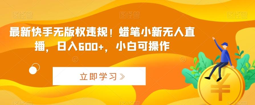 最新快手无版权违规！蜡笔小新无人直播，日入600+，小白可操作【揭秘】-Ai创业网