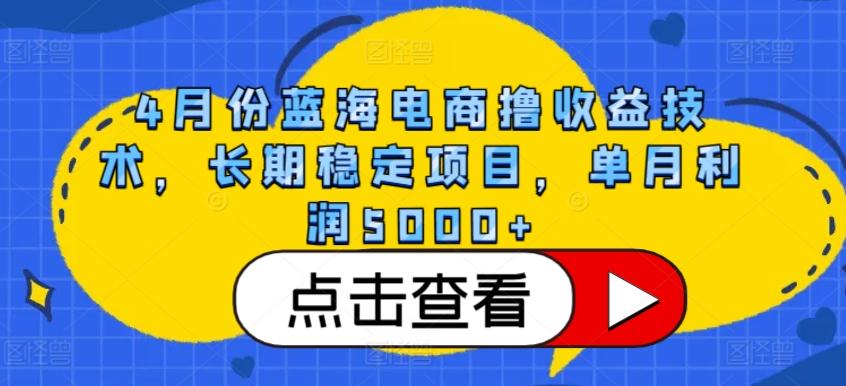 4月份蓝海电商撸收益技术，长期稳定项目，单月利润5000+【揭秘】-Ai创业网