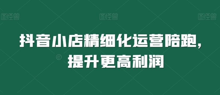 抖音小店精细化运营陪跑，提升更高利润-Ai创业网