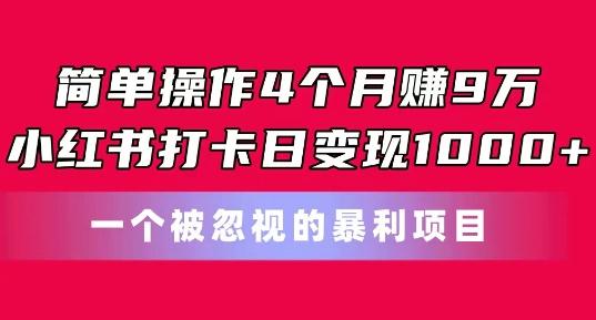 简单操作4个月赚9w，小红书打卡日变现1k，一个被忽视的暴力项目【揭秘】-Ai创业网