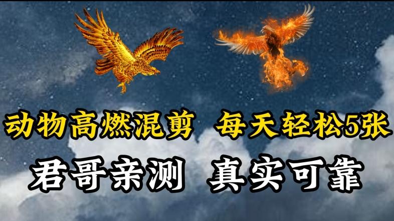 动物超燃混剪，每天轻松5张，剪辑简单大家爱看【揭秘】-Ai创业网