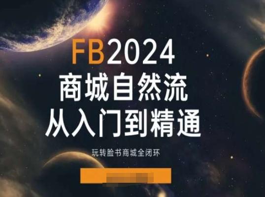 2024Faceboo商城自然流(从入门到精通)，玩转脸书商城全闭环-Ai创业网
