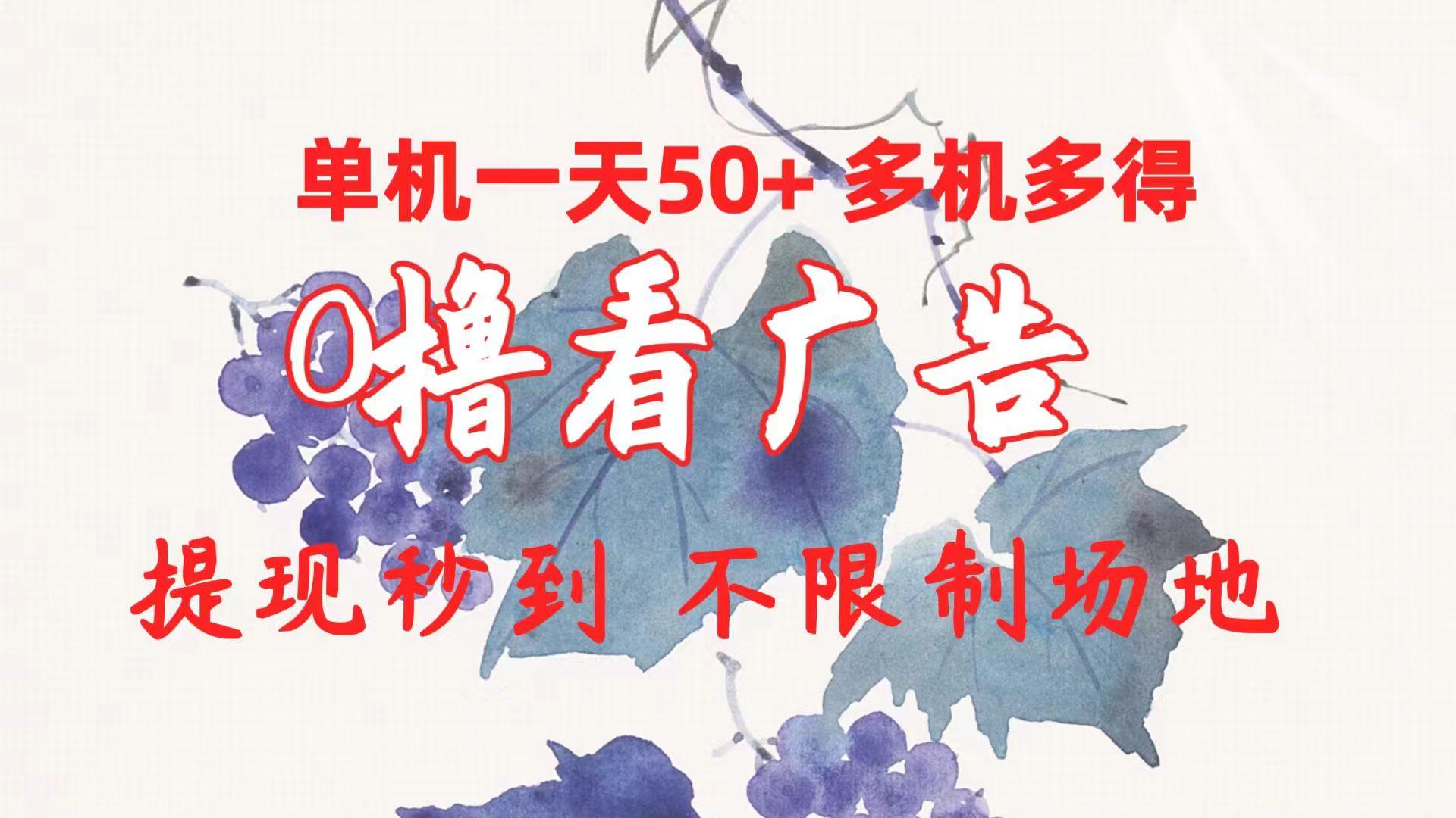 0撸看广告 单机一天50+多机多得 提现秒到 不限制场地操作-Ai创业网