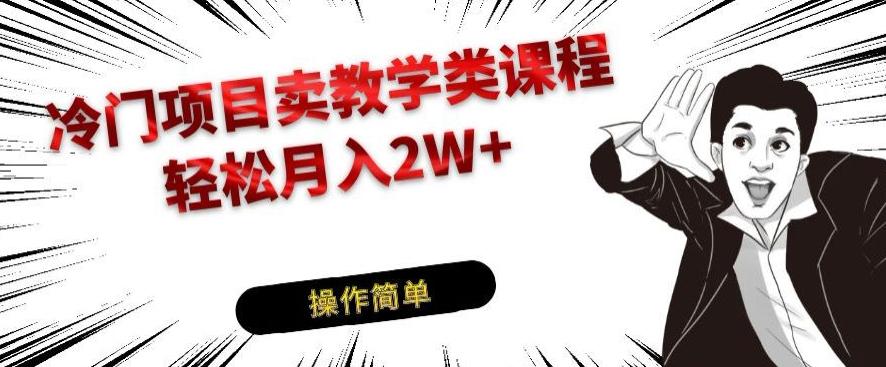 冷门项目卖教学类课程，轻松月入2W+-Ai创业网