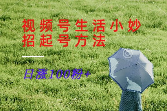 视频号生活小妙招分享赛道， 起号涨粉新方法，日涨100粉-Ai创业网