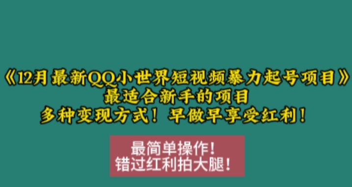 12月最新QQ小世界短视频暴力起号项目，最适合新手的项目，多种变现方式-Ai创业网