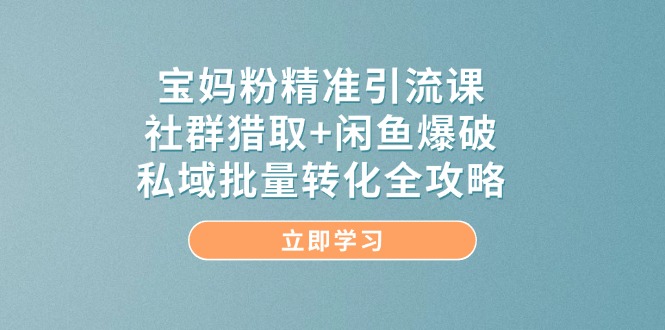 宝妈粉精准引流课，社群猎取+闲鱼爆破，私域批量转化全攻略-Ai创业网