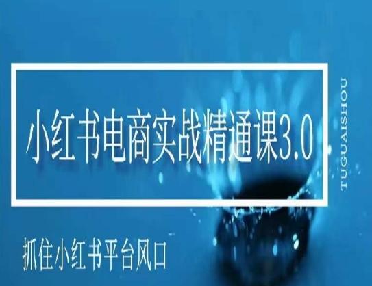 小红书电商实战精通课3.0，抓住小红书平台的风口，不错过有一个赚钱的机会-Ai创业网